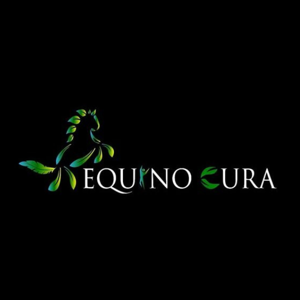 Logo de equino cura